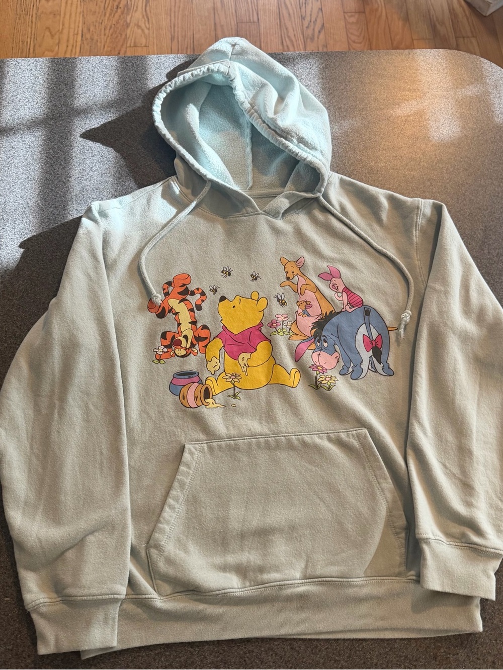 Disney Light Mint Winnie the Pooh Crewneck Hoodie with Character Graphic
